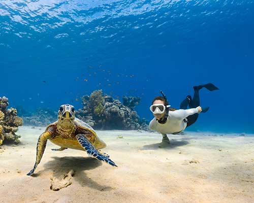 snorkelingphoto