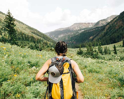 Guided Nature Hikes